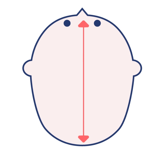 長頭